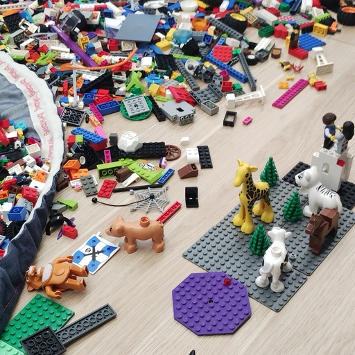 LEGO SERIOUS PLAY session